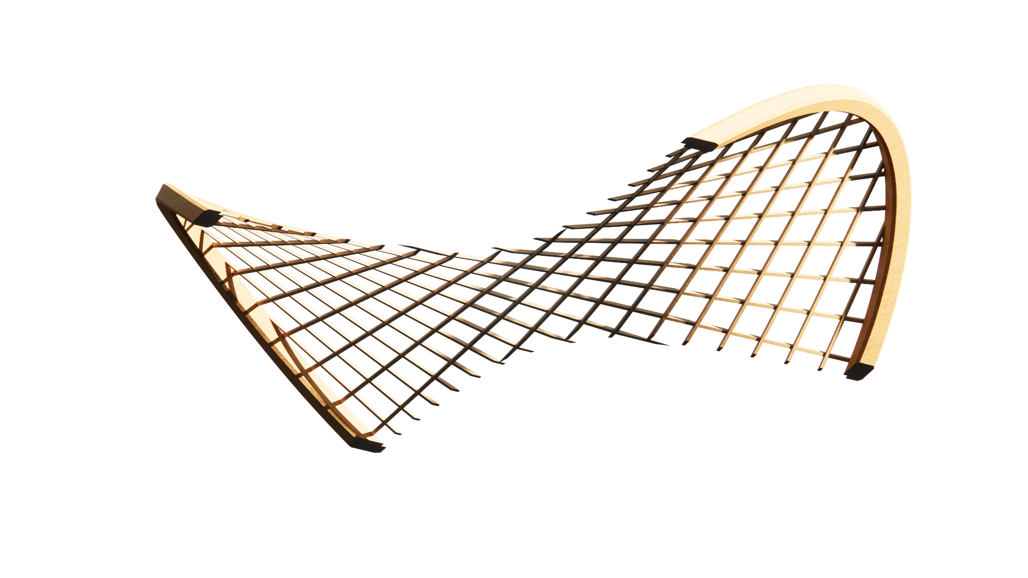 Isolated timber lattice shell fragment against a black background with its curved edge band exposed